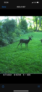 Phenomenal 88.8 acres of hunting and recreational land - image 41