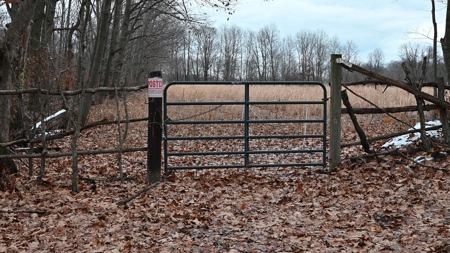 Phenomenal 88.8 acres of hunting and recreational land - image 35