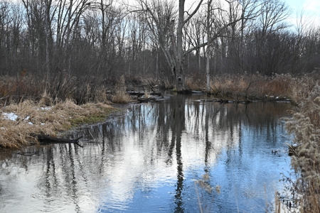 Phenomenal 88.8 acres of hunting and recreational land - image 28