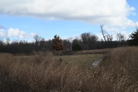 Phenomenal 88.8 acres of hunting and recreational land - image 24