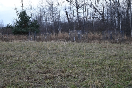 Phenomenal 88.8 acres of hunting and recreational land - image 27
