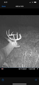 Phenomenal 88.8 acres of hunting and recreational land - image 40