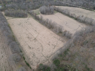 Phenomenal 88.8 acres of hunting and recreational land - image 18