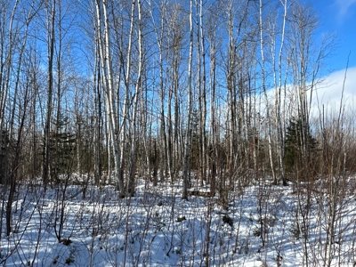 Mountain View Maine Land - image 4