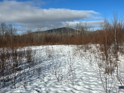 Mountain View Maine Land - image 6