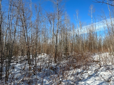 Mountain View Maine Land - image 7