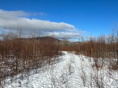 Mountain View Maine Land - image 5