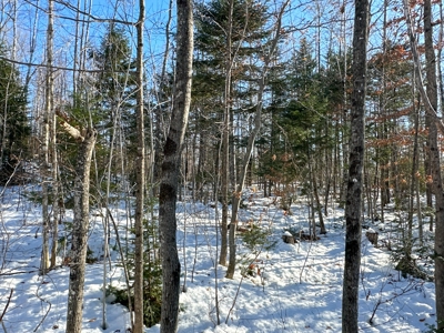 Mountain View Maine Land - image 10