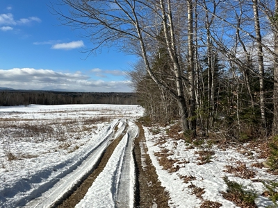 Mountain View Maine Land - image 3