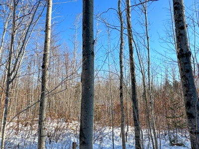 Mountain View Maine Land - image 9