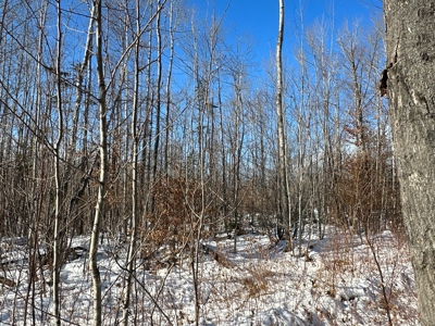 Mountain View Maine Land - image 8