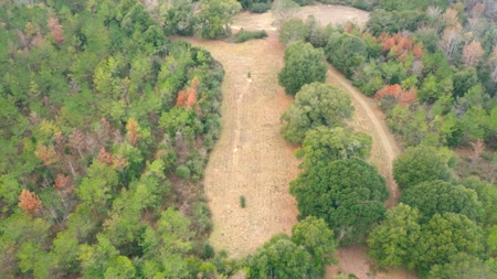 Ramah Road 79 - image 39
