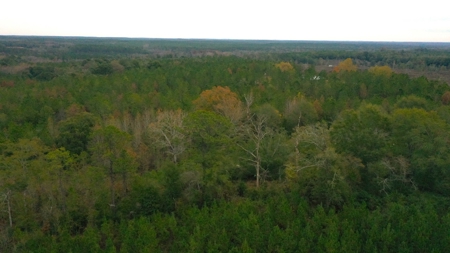 Ramah Road 79 - image 42