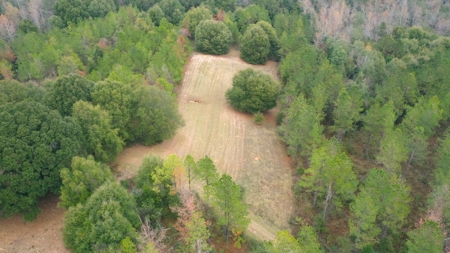 Ramah Road 79 - image 40