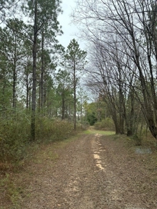 Ramah Road 79 - image 50