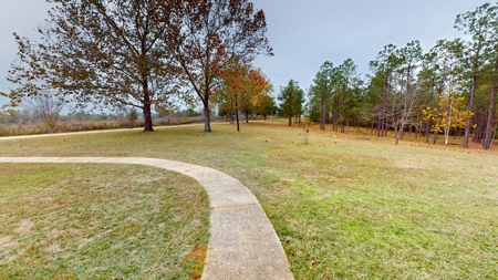 Ramah Road 79 - image 33