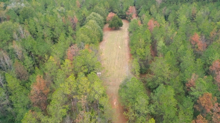 Ramah Road 79 - image 41