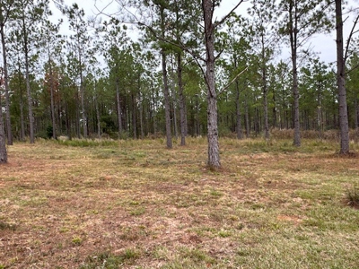 Ramah Road 79 - image 49