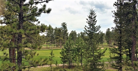Northern Colorado Golf Course building site - image 1