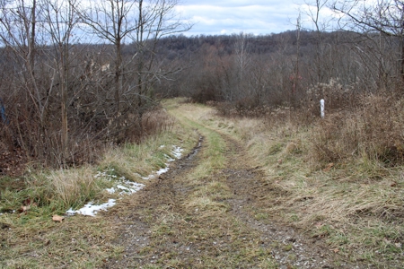 Monroe County OH Commercial/Industrial Site - image 11
