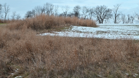 71 Acre Parcel with Tillable Portion Gratiot County MI - image 16