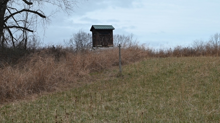 71 Acre Parcel with Tillable Portion Gratiot County MI - image 17