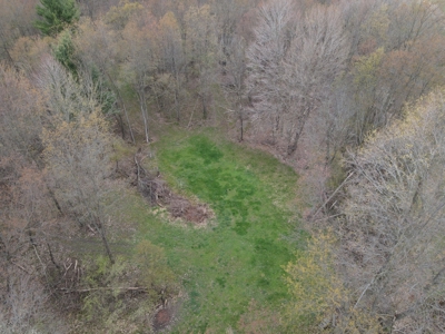 71 Acre Parcel with Tillable Portion Gratiot County MI - image 8