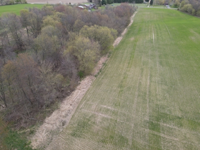 71 Acre Parcel with Tillable Portion Gratiot County MI - image 9