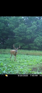 71 Acre Parcel with Tillable Portion Gratiot County MI - image 32