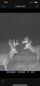 71 Acre Parcel with Tillable Portion Gratiot County MI - image 37