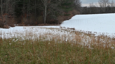 71 Acre Parcel with Tillable Portion Gratiot County MI - image 18
