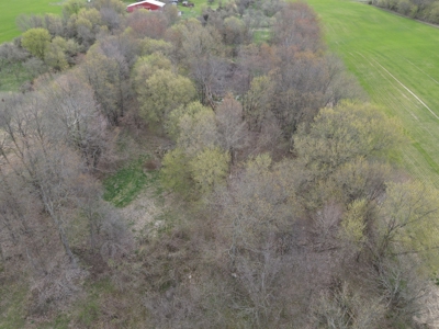 71 Acre Parcel with Tillable Portion Gratiot County MI - image 11