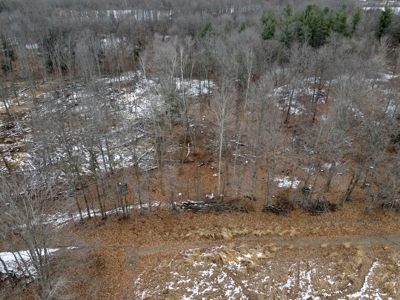 71 Acre Parcel with Tillable Portion Gratiot County MI - image 7