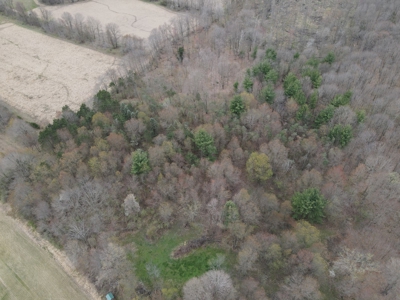 71 Acre Parcel with Tillable Portion Gratiot County MI - image 14