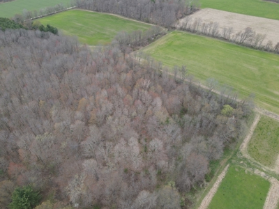 71 Acre Parcel with Tillable Portion Gratiot County MI - image 13