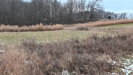 71 Acre Parcel with Tillable Portion Gratiot County MI - image 15