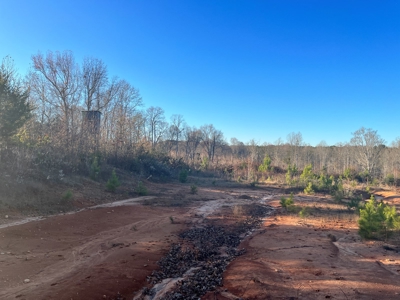 Hunting Land for Sale in Enoree, South Carolina - image 12