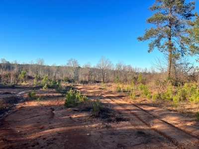 Hunting Land for Sale in Enoree, South Carolina - image 11