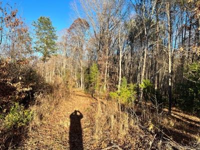 Hunting Land for Sale in Enoree, South Carolina - image 13