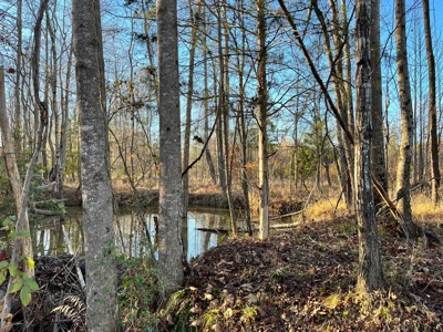 Hunting Land for Sale in Enoree, South Carolina - image 8