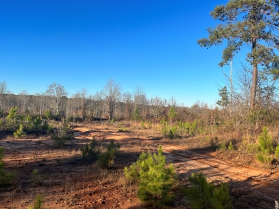 Hunting Land for Sale in Enoree, South Carolina - image 10