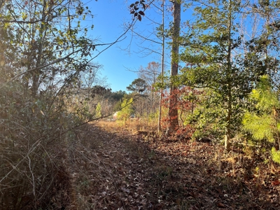 Hunting Land for Sale in Enoree, South Carolina - image 14