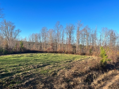 Hunting Land for Sale in Enoree, South Carolina - image 9