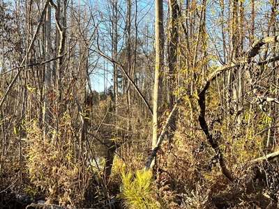 Hunting Land for Sale in Enoree, South Carolina - image 5
