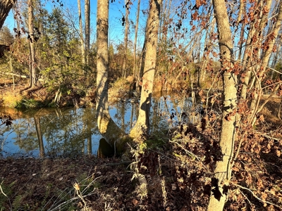 Hunting Land for Sale in Enoree, South Carolina - image 4