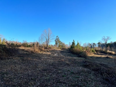 Hunting Land for Sale in Enoree, South Carolina - image 7