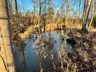 Hunting Land for Sale in Enoree, South Carolina - image 2
