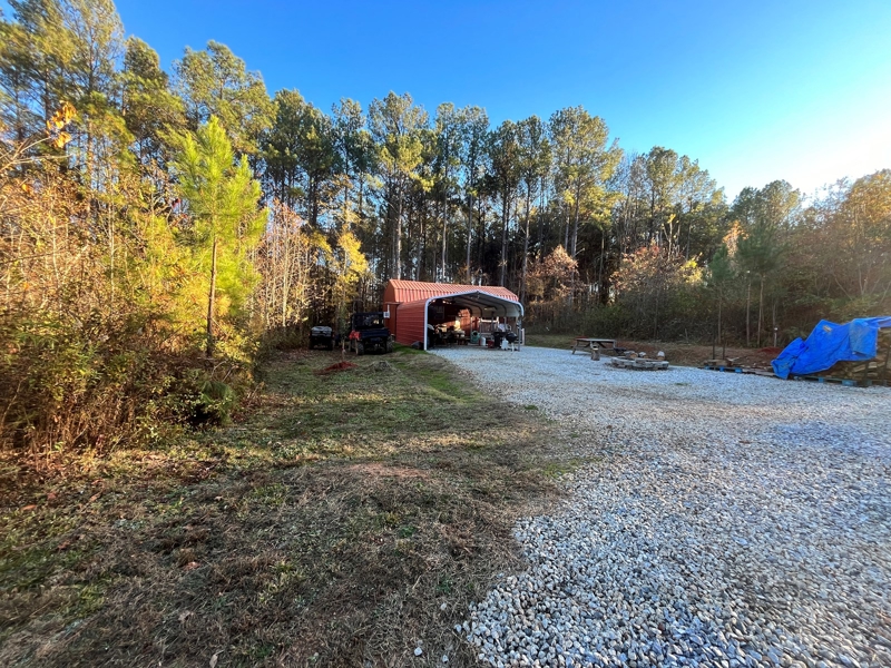 Shed and cabin