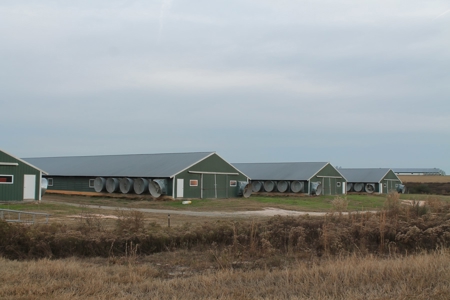 8 Broiler Poultry Operation on 170 Acres in Roberta, Georgia - image 26