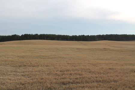 8 Broiler Poultry Operation on 170 Acres in Roberta, Georgia - image 8